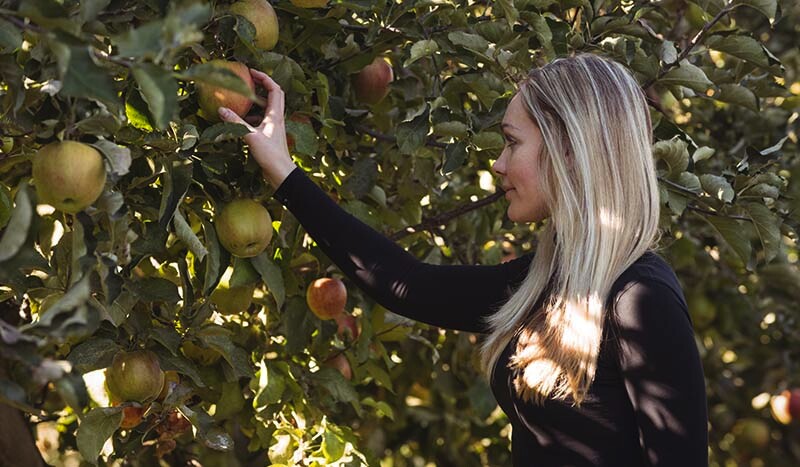 Fruit Trees Suitable for a Smaller Garden