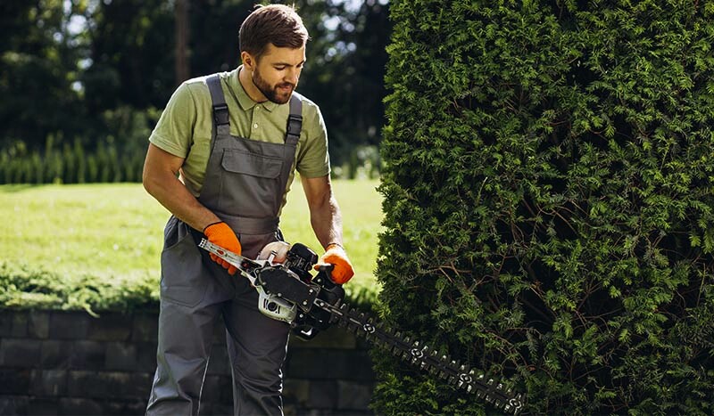Summer Hedge Trimming: How to Do It