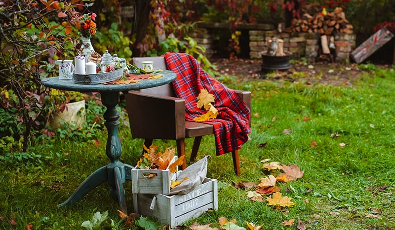 Autumn Lawn Care: How to Prepare It for Cooler Days
